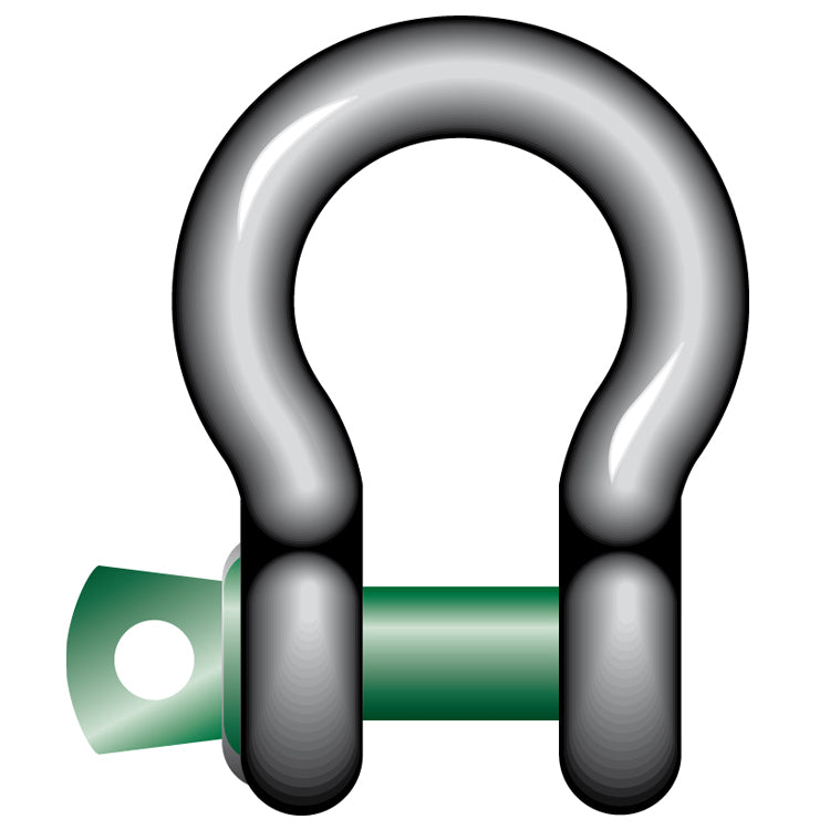 Standard shackles